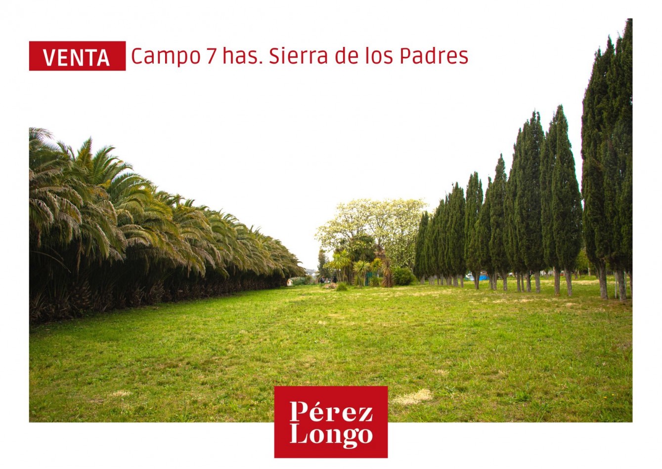 CAMPO DE 7.5 HECTAREAS. SIERRA DE LOS PADRES