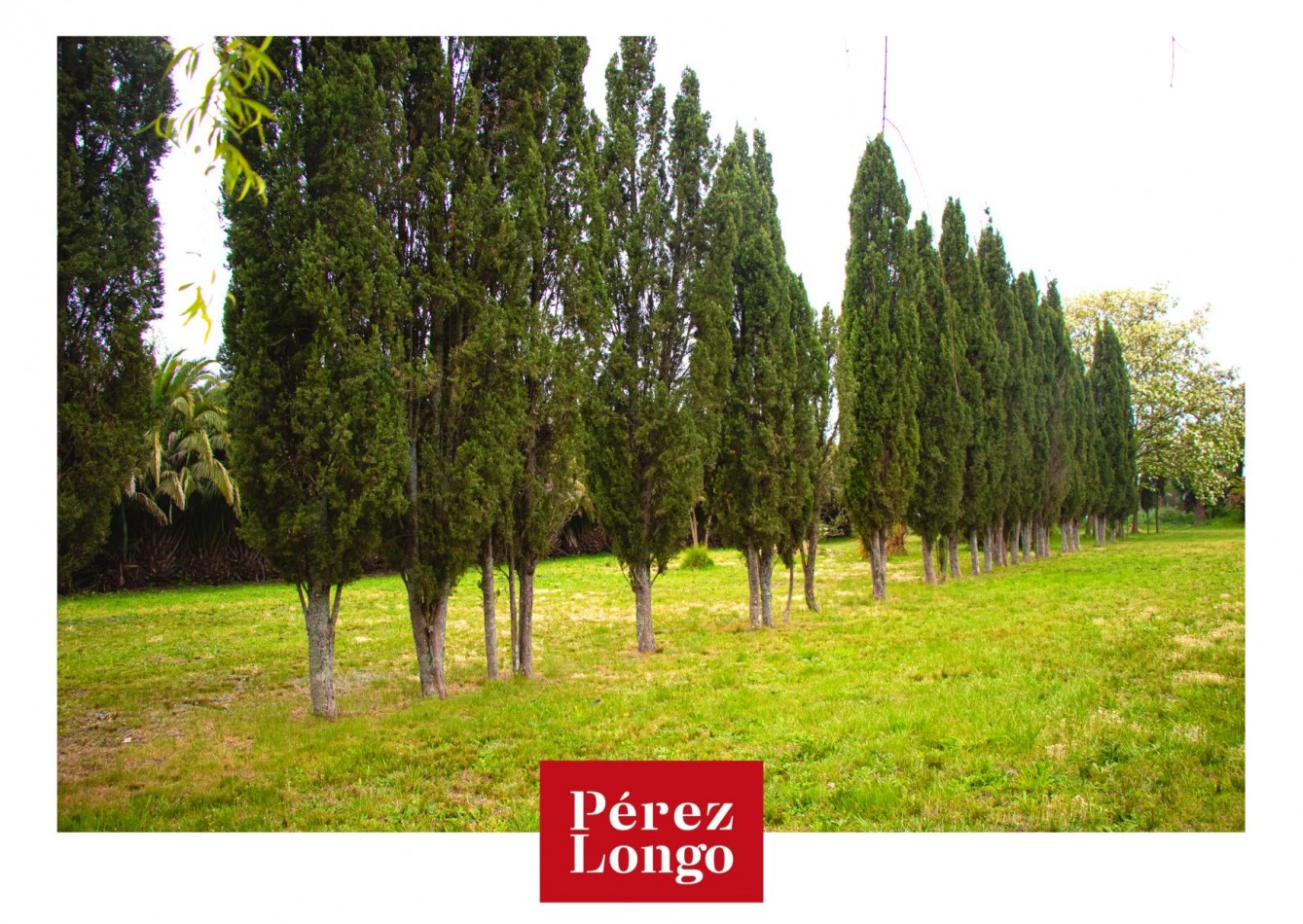 CAMPO DE 7.5 HECTAREAS. SIERRA DE LOS PADRES