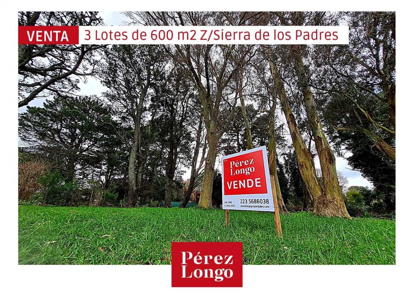 LOTES DE 600 M2 C/U EN SIERRA DE LOS PADRES