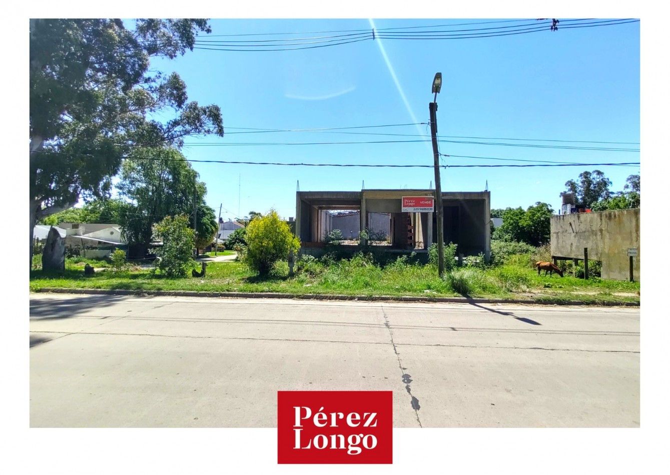 LOTE DE 330 M2 EN AV CENTENO