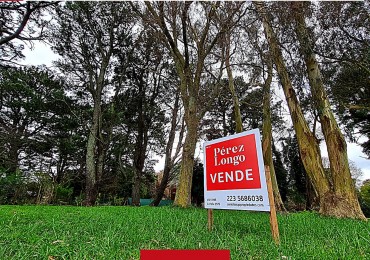 LOTES DE 600 M2 C/U EN SIERRA DE LOS PADRES